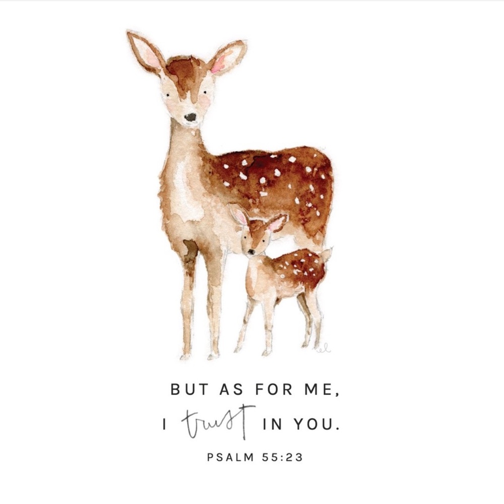 Meet your Posher, Rachel